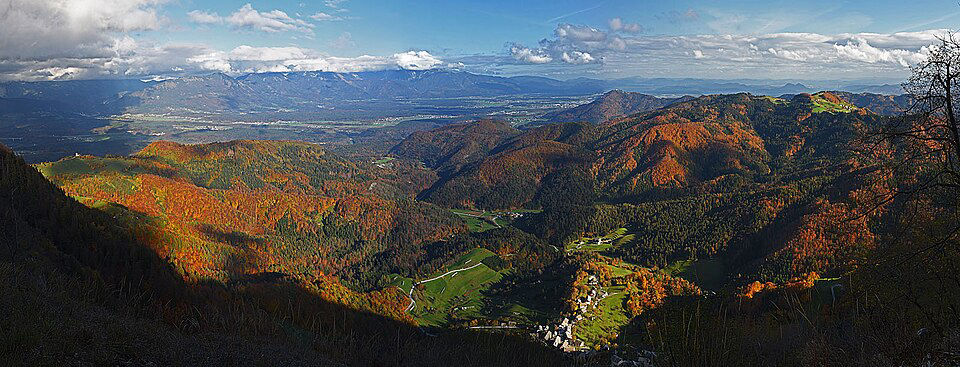 Region