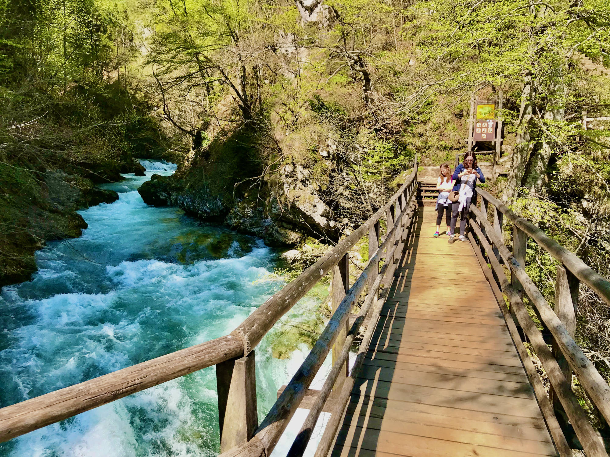 Pr' Konjič The Region