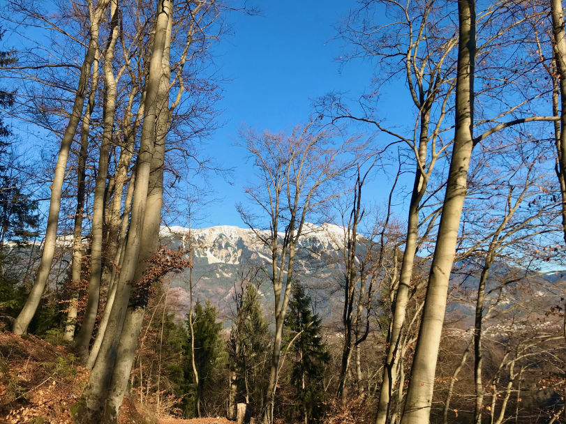Pr' Konjič The Region